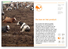 De_koe_en_het_product